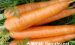 胡萝卜的功效与作用，胡萝卜怎么做好吃又有营养