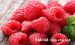 野草莓的功效与作用，野草莓能吃吗、有毒吗？