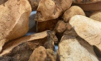 土茯苓的作用和功效，土茯苓和什么煮去湿气效果好？