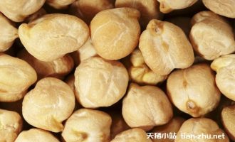 鹰嘴豆功效和作用，鹰嘴豆婴儿可以吃吗？